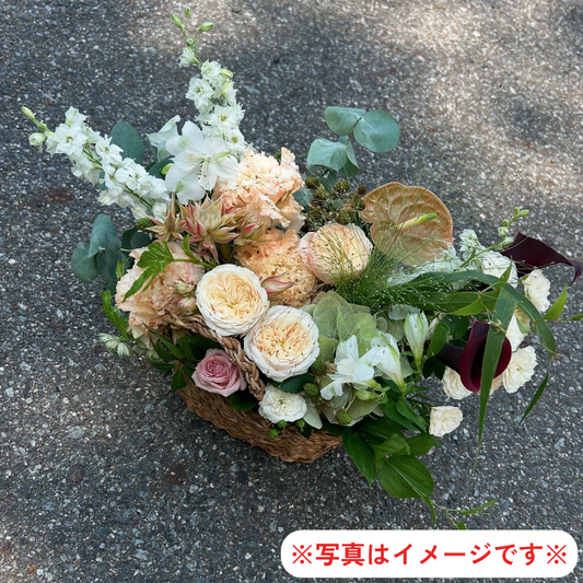 季節のアレンジメント～おまかせ～