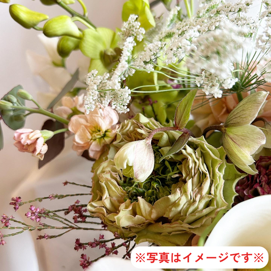 お花の定期便　切り花プラン